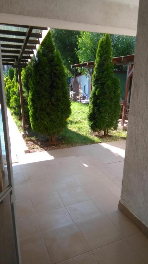 Vila Stefan Pescarusului Costinesti Exterior foto